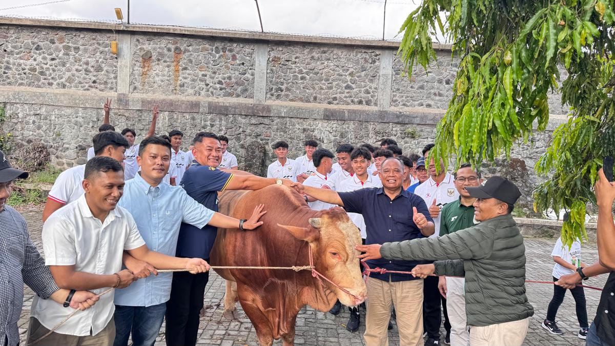 Timnas Indonesia U-19 Serahkan Sapi Kurban 800 Kg di Sleman, Pamit ke Piala AFF U-19 2026