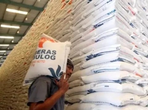 Bulog Kejar Target Serap 4 Juta Ton Beras Petani, Kapasitas Gudang Digenjot ke 7 Juta Ton