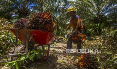 Harga TBS Sawit Petani Ambrol, Kementan dan Pengusaha Sepakat Ambil Langkah Darurat
