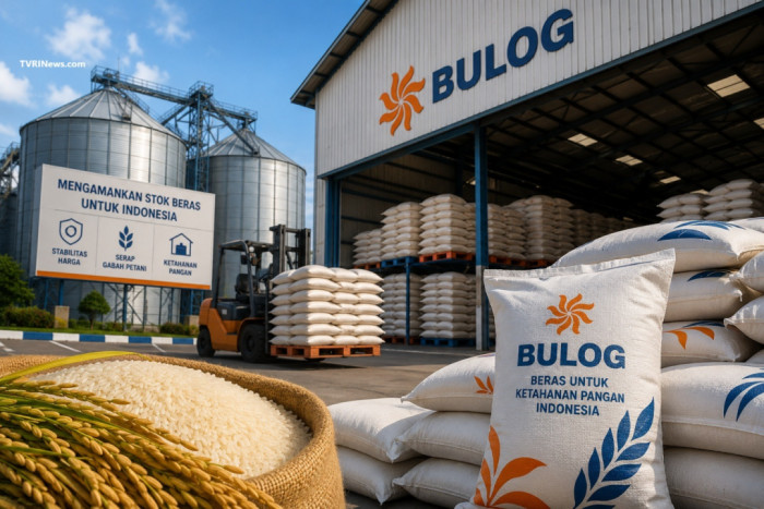 Bulog Siapkan Gudang 7 Juta Ton, Stok Beras Tembus 5,39 Juta Ton di Tengah Lonjakan Panen