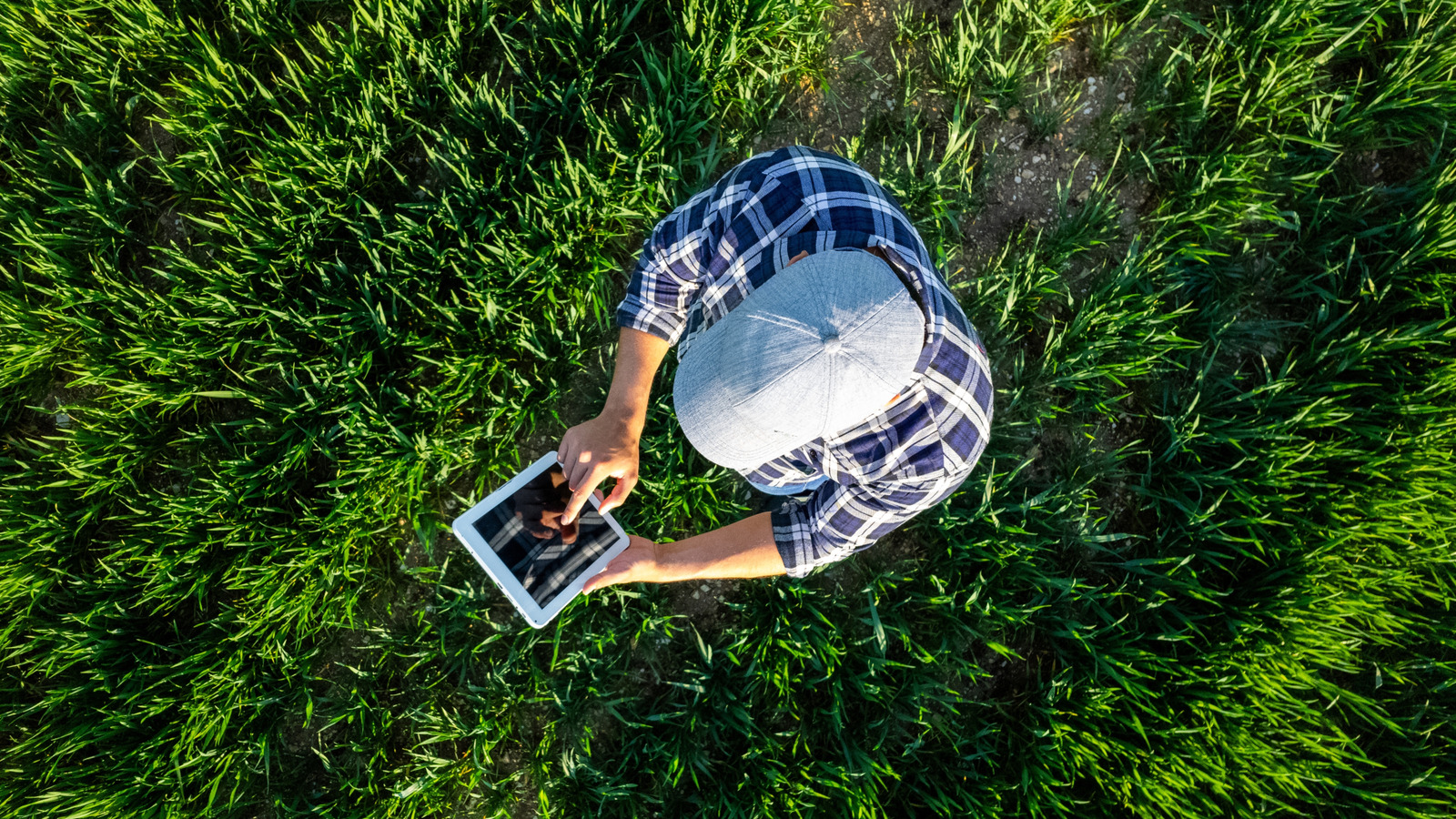 Tiga Aplikasi Drone Gratis Terbaik untuk Pilot di Indonesia, dari Izin Terbang hingga Pemantauan Udara