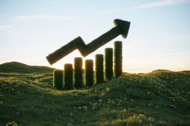 BI Sebut Sumsel Punya Daya Tarik Tinggi bagi Investor, 5 Sektor Strategis Jadi Andalan Ekonomi Daerah