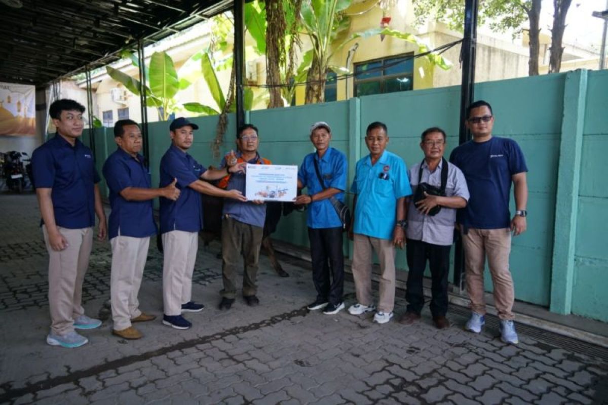 Pelindo Regional 2 Panjang Bagikan 21 Sapi Kurban ke Warga Sekitar Pelabuhan