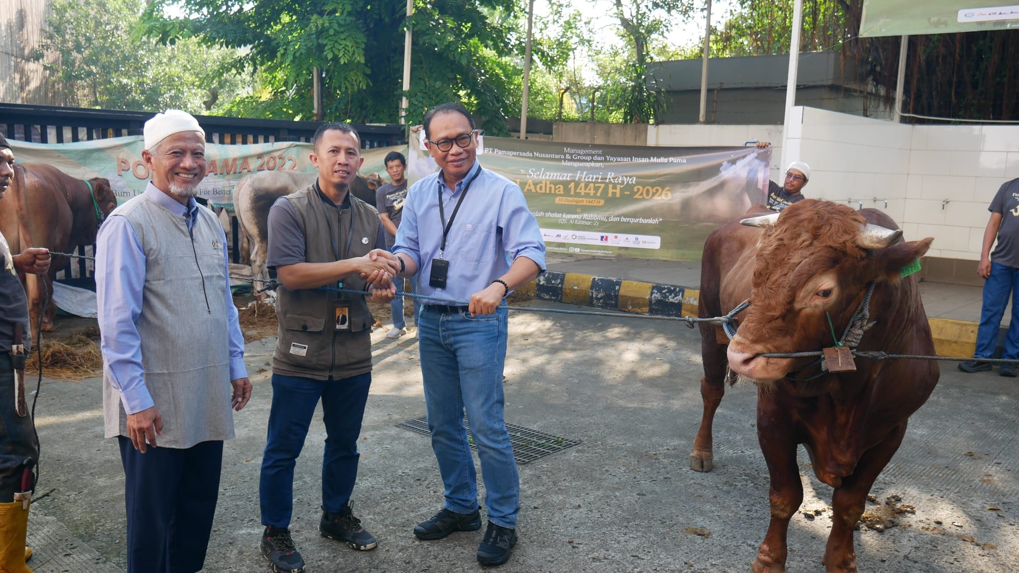 Iduladha 1447 H, PAMA Bagikan 726 Ekor Sapi dan Kambing ke Warga Sekitar Tambang