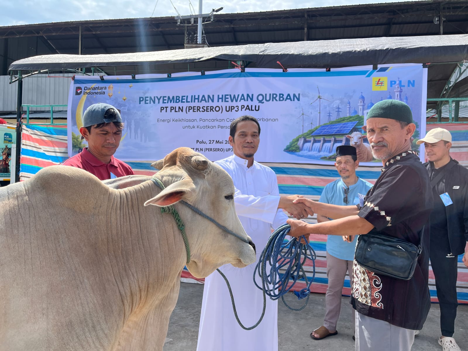 PLN UID Suluttenggo Salurkan 47 Ekor Sapi dan Kambing untuk 800 Penerima Manfaat saat Idul Adha 1447 H