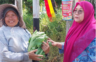 Ketua TP-PKK Agam Tinjau Langsung Persiapan Nagari Sungai Pua Menjelang Lomba PKK Tingkat Sumbar