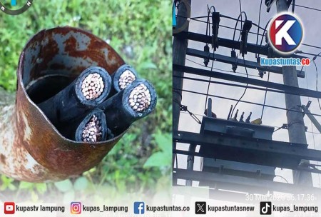 Kabel Trafo Digondok Maling di Lampung Barat, PLN Minta Warga Jadi Mata-mata