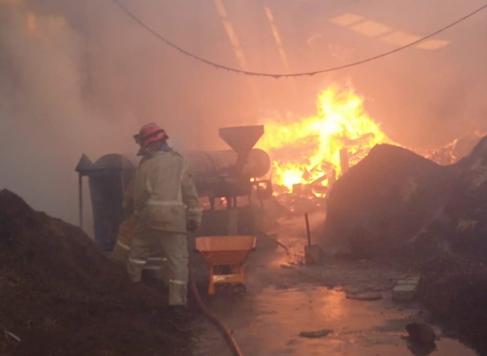 Damkar Jombang Kerahkan Tiga Armada, Pabrik Serbuk Kayu di Mojowarno Ludes Terbakar