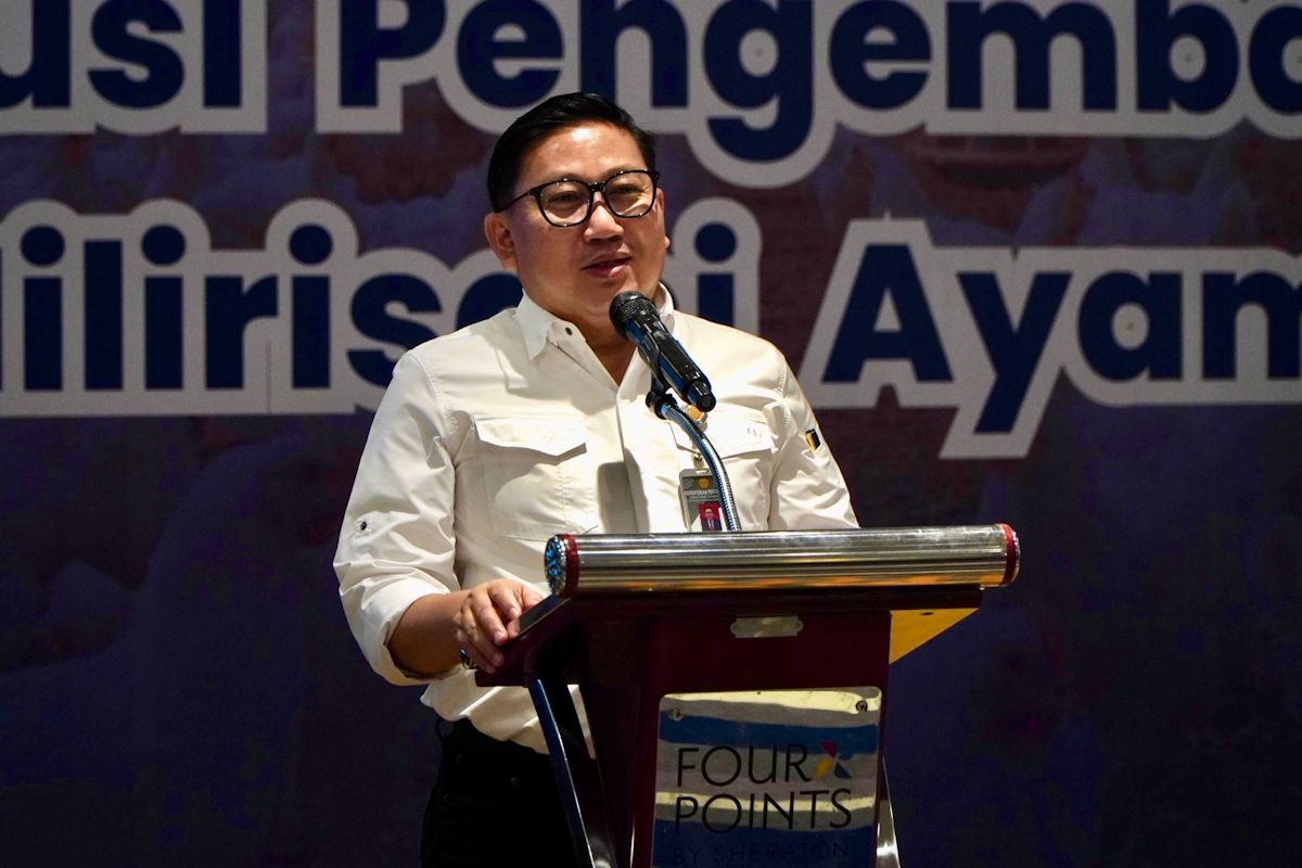 Berdikari dan Kementan Siapkan Hilirisasi Ayam di Bone, Peternak Rakyat Jadi Pusat Ekosistem