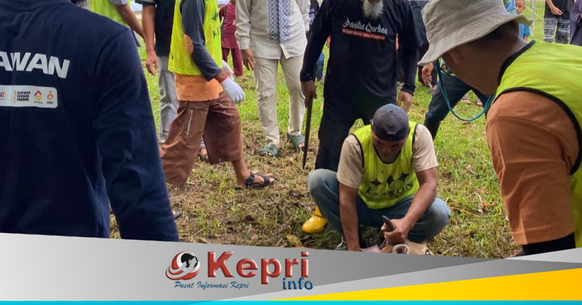 Sambut Idul Adha, Bandara Raja Haji Fisabilillah Tanjungpinang Kurban Satu Sapi untuk Warga Sekitar