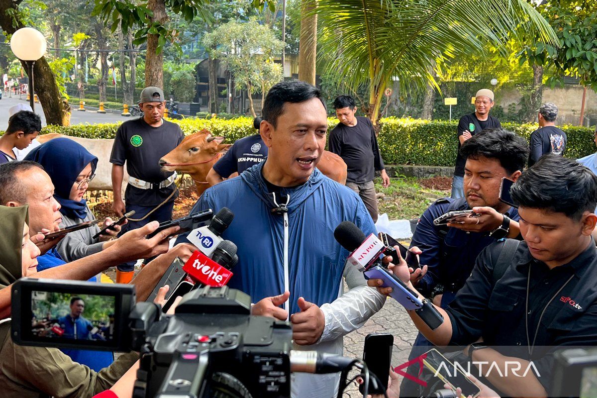 Bulog Kejar Target Serap 4 Juta Ton Gabah, Petugas di Lapangan Tak Kenal Libur