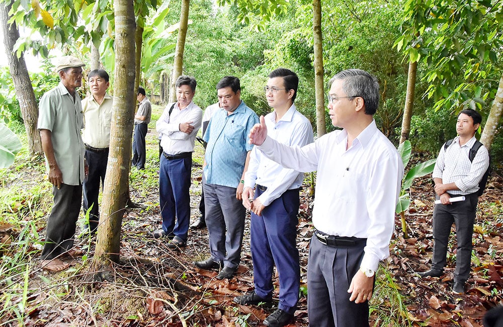 Wakil Ketua Komite Rakyat Provinsi Tinjau Longsor di Area Pagoda Prek Tung, Usulan Anggaran Hampir 15 Miliar VND