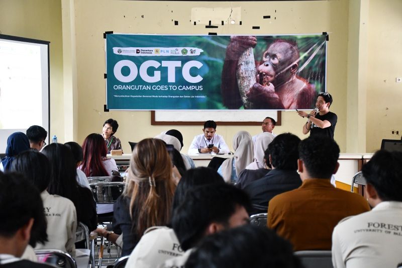 PLN Peduli Ajak Mahasiswa Universitas Palangka Raya Peduli Konservasi Orangutan Lewat Program Goes to Campus