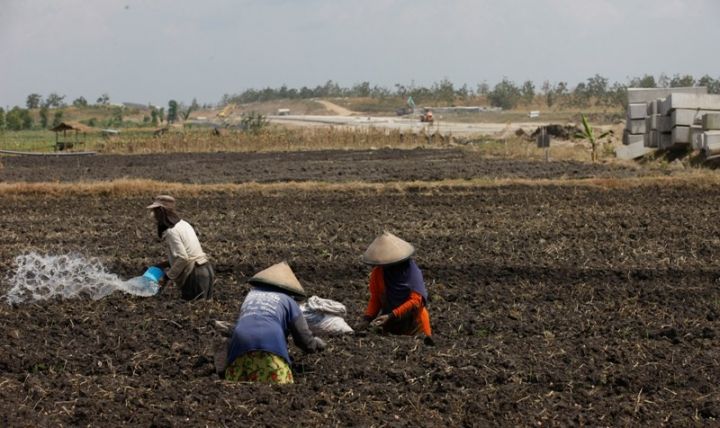 BMKG Sebut Musim Kemarau 2026 di Bangka Belitung Lebih Panjang dan Kering, 4 Wilayah Jadi Prioritas Antisipasi Kekeringan