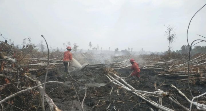 Polda Babel Petakan 136 Ribu Hektare Hutan Rawan Karhutla di Bangka Selatan, Warga Diimbau Tak Bakar Lahan