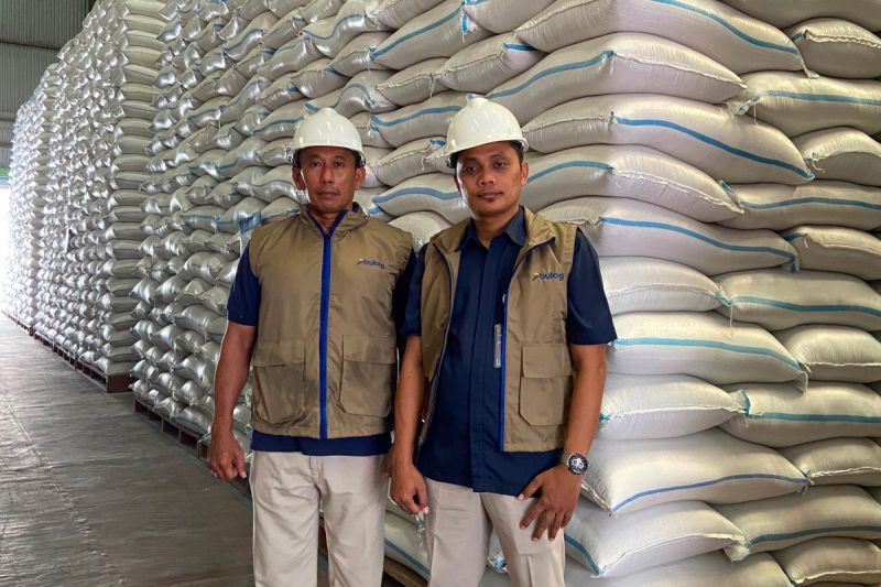 BULOG Tembus 3 Juta Ton Serapan Gabah-Beras Petani per Juni 2026, Lampaui 75 Persen Target Tahunan