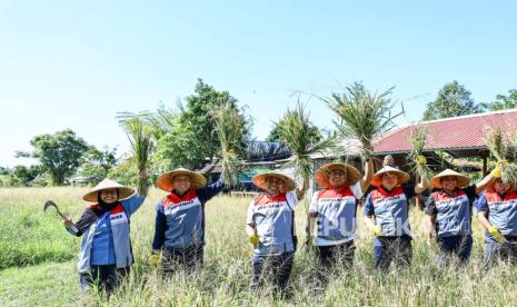 Pertamina Kembangkan Desa Energi Berdikari, Program TJSL Uma Palak Lestari Diapresiasi Komisaris