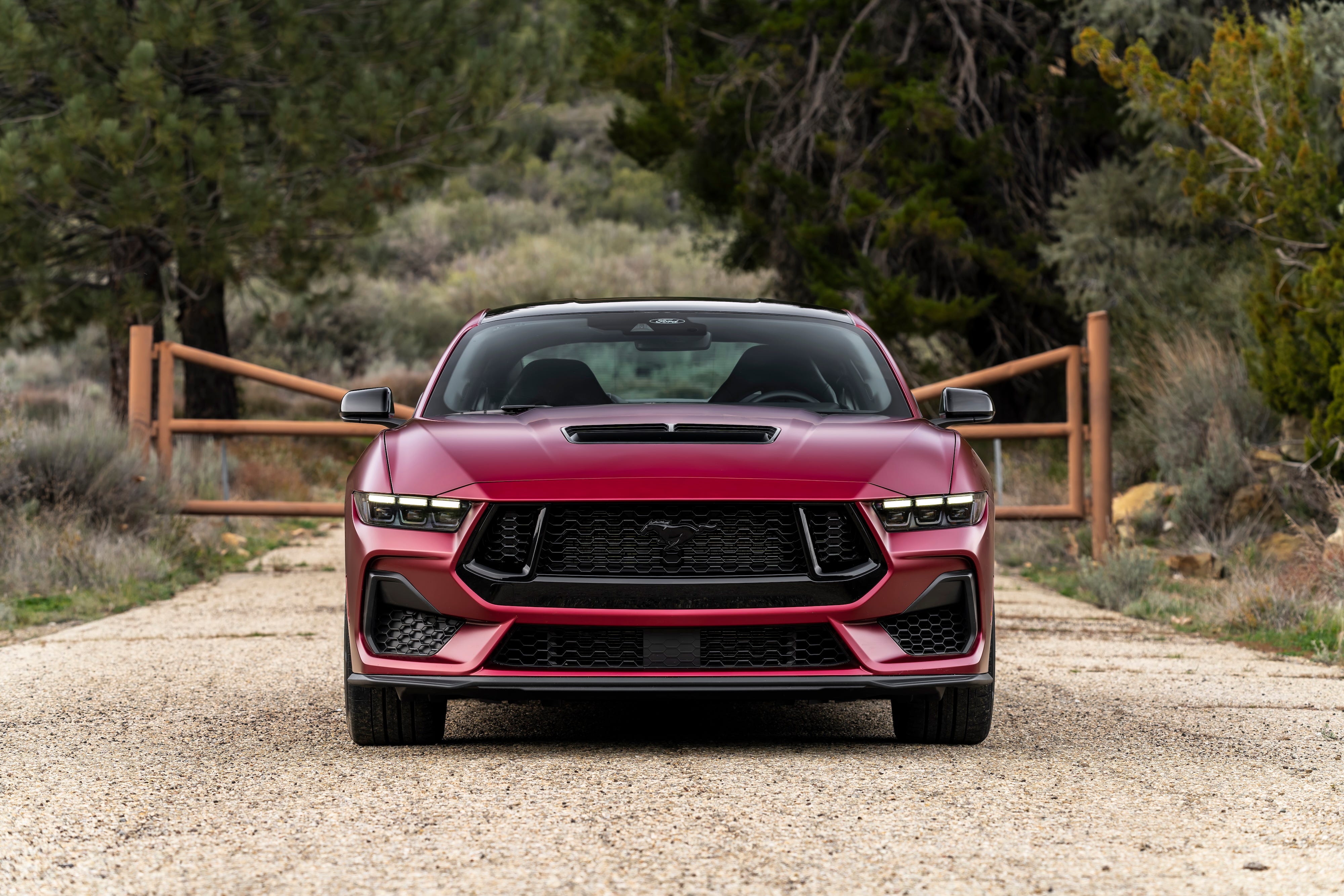 Ford Siapkan Mustang Sedan Bermesin V8, Bocoran dari Petinggi Ford Blue