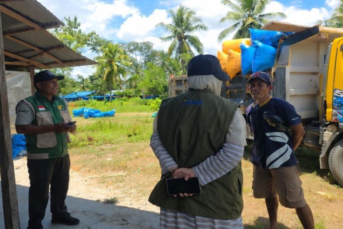 Bulog Serap 3.188 Ton Gabah Petani Maluku, Stok Beras Nasional Tembus 5 Juta Ton