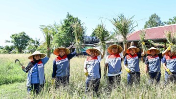 Pertamina Hadirkan Program Desa Energi Berdikari di Bali, Integrasi PLTS dengan Pertanian Berkelanjutan