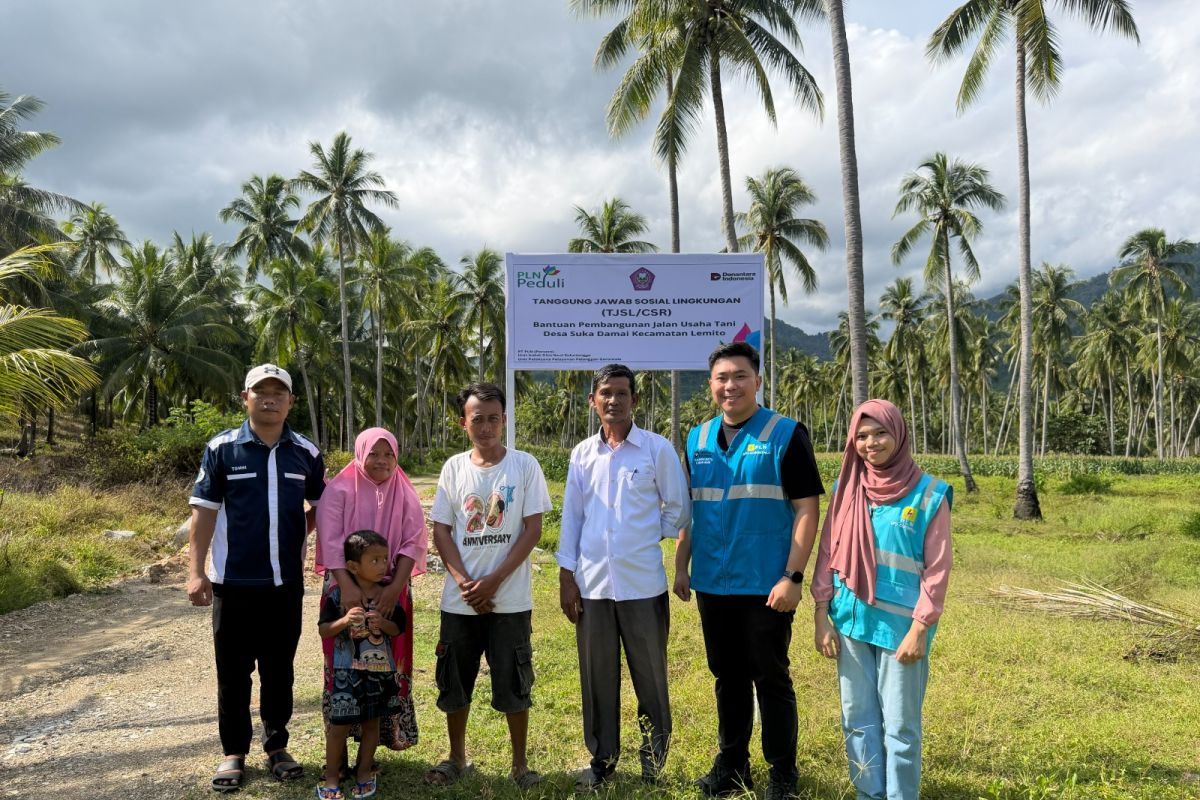 Bukan Cuma Listrik, PLN Bangun Jalan Usaha Tani di Gorontalo, Petani Jagung-Kakao Mulai Bisa Hirup Udara Lega