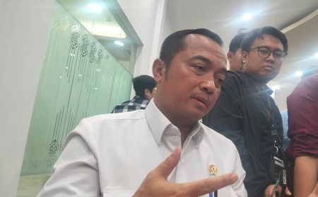 Presiden Prabowo Tunjuk Naniek S Deyang sebagai Kepala BGN, Dinilai Paling Tegas Jaga Kualitas Makanan