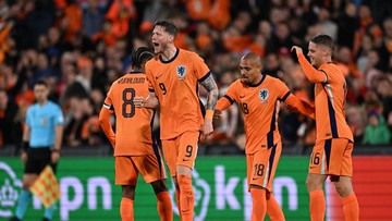 Prediksi Piala Dunia 2026: Matematikawan Jerman Yakin Belanda Juara, Kalahkan Portugal di Final