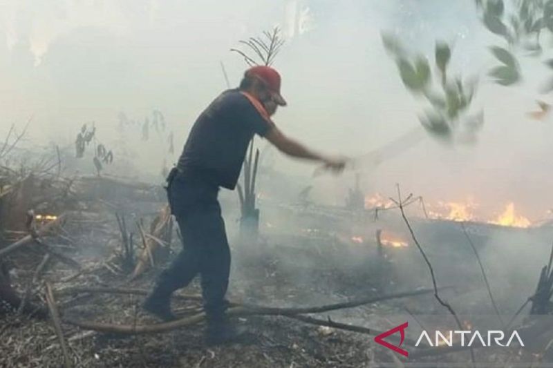 DLHK Bangka Belitung Kerahkan 8 KPHP Patroli Cegah Karhutla di Musim Kemarau Ekstrem, 658.672 Hektare Hutan Jadi Sasaran