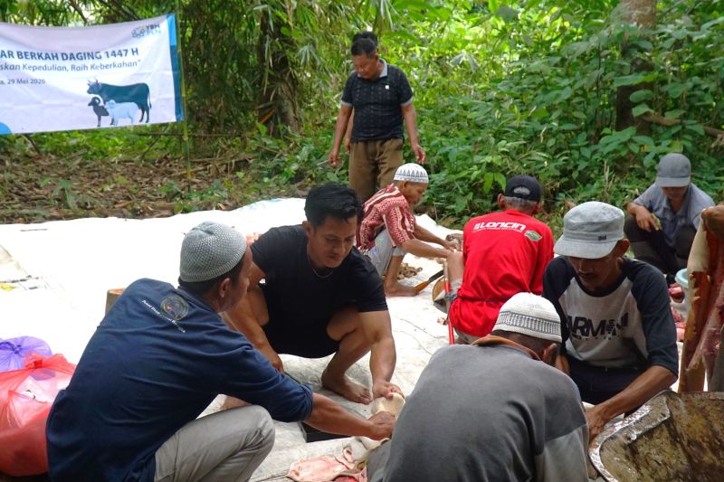 28 Tahun Sepi, Dusun di Pegunungan Meratus Akhirnya Rasakan Pembagian Daging Kurban Berkat PLN