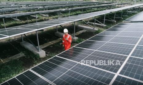 Incar Proyek Hijau di Amerika Latin, PLN Indonesia Power Bidik Pasar Baru