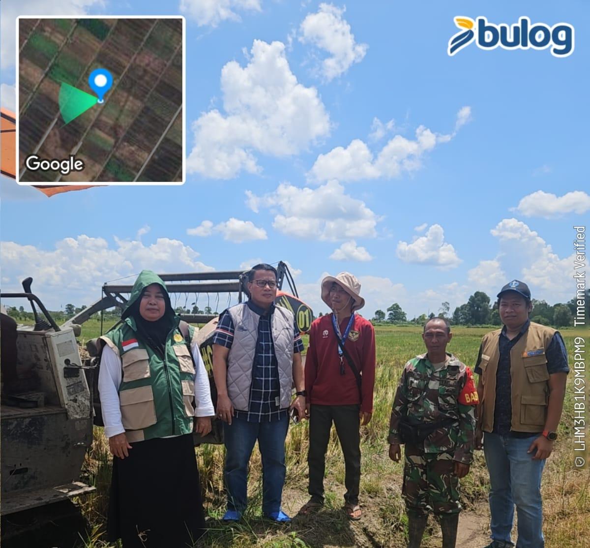 Bulog Tembus Rekor Serapan Gabah-Beras Petani 3 Juta Ton, Stok Cadangan Pangan Tembus 5 Juta Ton