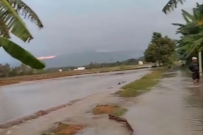 Banjir Rendam 8 Hektare Lahan Pertanian di Dua Desa Parigi Moutong, Petani Was-was Gagal Panen
