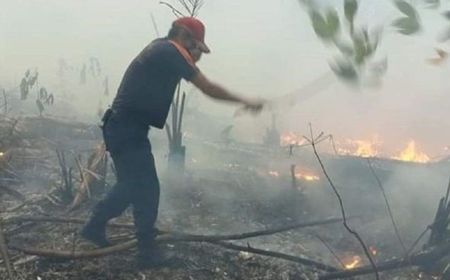 DLHK Babel Bentuk Tujuh Regu Masyarakat Peduli Api Antisipasi Karhutla Musim Kemarau Ekstrem 2026
