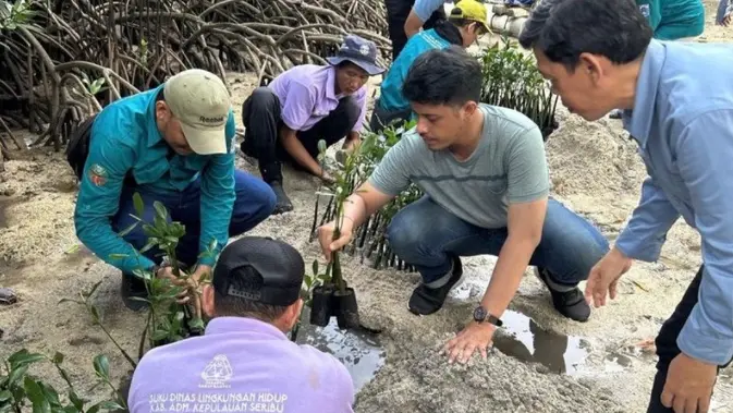 Peringati Hari Lingkungan Hidup, Pemkab Kepulauan Seribu Lepas 50 Tukik dan Tanam 500 Bibit Mangrove di Pulau Sabira