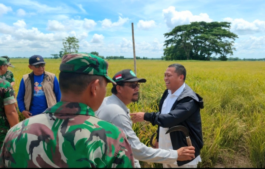 BULOG Serap 70.370 Ton Beras Petani di Jakarta dan Banten, Lampaui Target 101,5 Persen