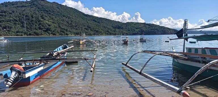 Gempa M7,7 Guncang Sulawesi Utara, Warga di 5 Provinsi Diminta Jauhi Pantai dan Hentikan Aktivitas di Perairan