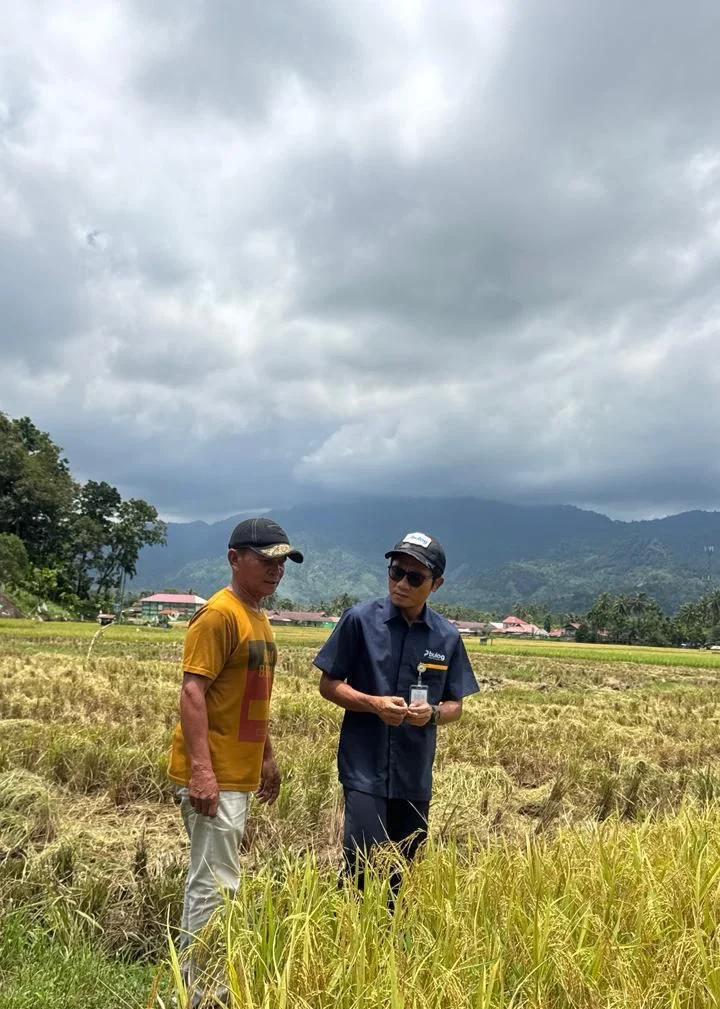 BULOG Serap 3 Juta Ton Gabah-Beras Petani, Stok CBP Tembus Rekor 5 Juta Ton