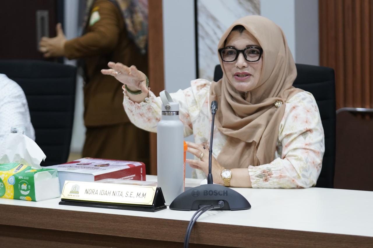 Anggota DPRA Nora Idah Nita Desak Presiden dan BNPB Cairkan Bantuan Korban Bencana Hidrometeorologi di Aceh Tamiang