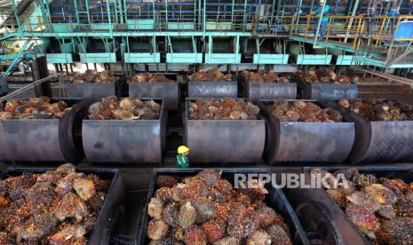 Dolar AS Tembus Rp 18.000, Mentan Andi Amran Desak Pabrik Kelapa Sawit Naikkan Harga TBS 10 Persen