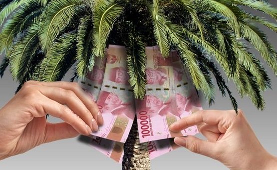 Harga TBS Sawit Pekebun Mitra di Aceh Periode Awal Juni 2026 Ditetapkan, Wilayah Timur Lebih Tinggi dari Barat