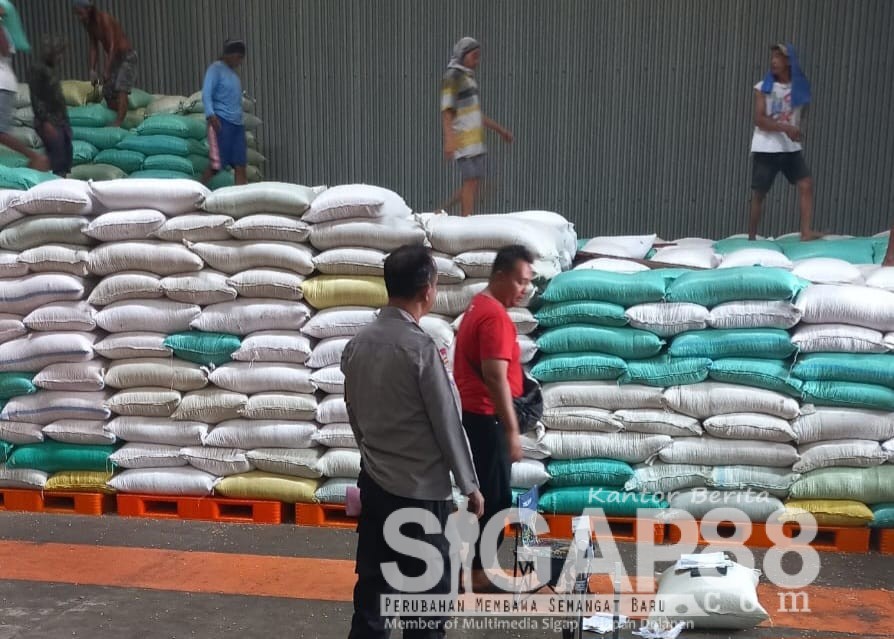 Polsek Diwek Kawal Pengiriman 10 Ton Jagung Petani ke Bulog Jombang, Harga Tembus Rp 6.400 per Kg