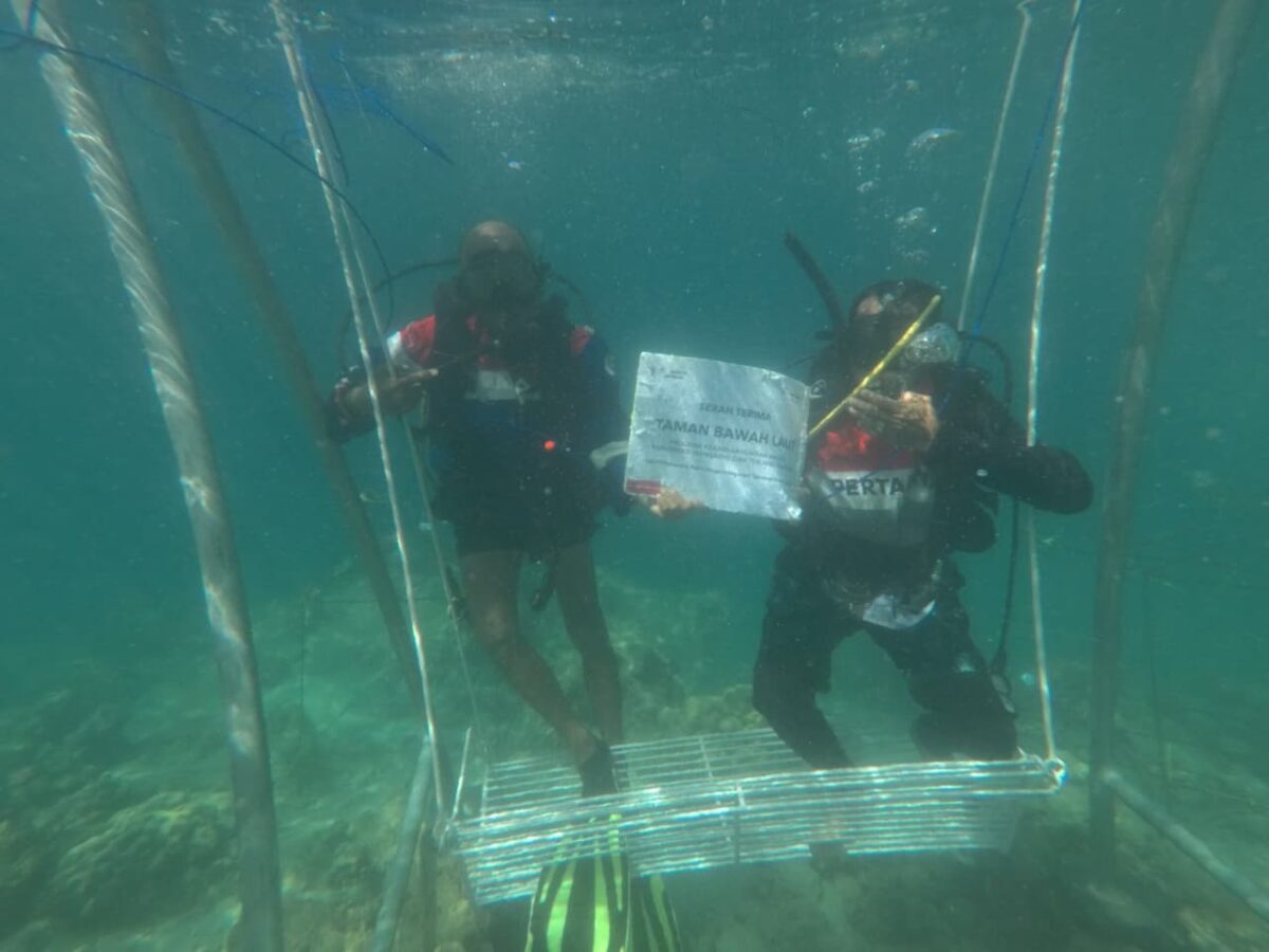 Tanam 1.000 Fragmen Karang di Pulau Pasumpahan, Pertamina Patra Niaga IT Teluk Kabung Peringati Hari Lingkungan Hidup