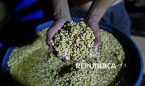 Target Produksi Kedelai 5 Ton Per Hektar, Mentan Amran Gandeng BRIN Kejar Swasembada