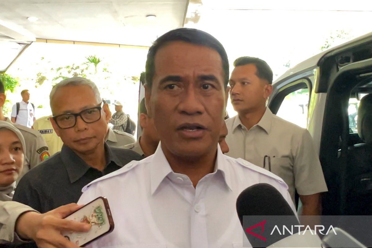 Harga Minyakita Naik dalam 2 Pekan ke Depan, Mentan Amran Koordinasi dengan Mendag soal HET Baru