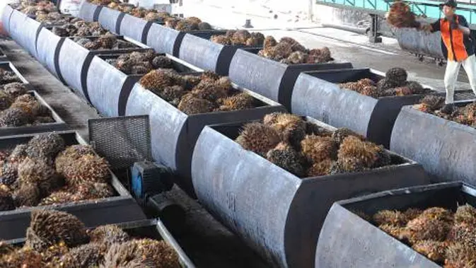 PLN EPI Olah Limbah Sawit Jadi Bio-CNG, Listrik Rendah Karbon untuk PLTGU Belawan