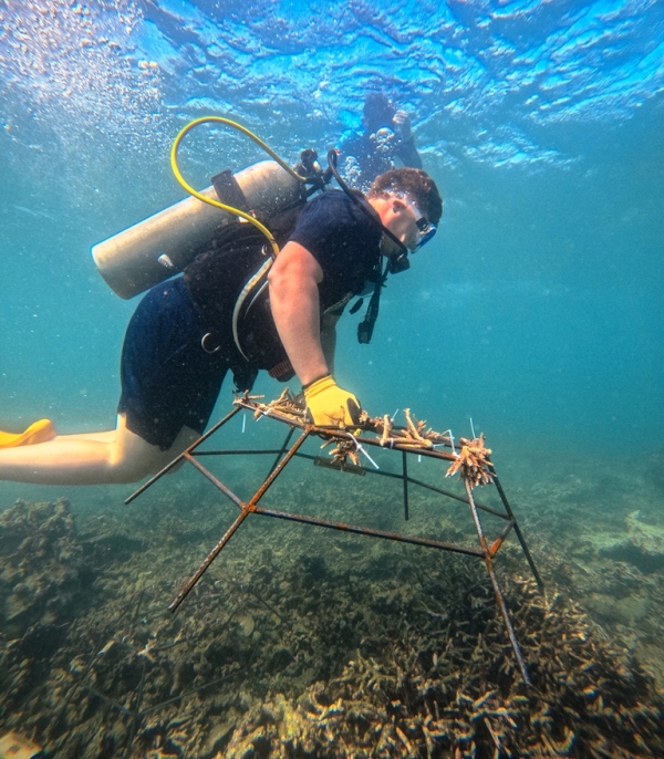 Innit Lombok dan Indonesia Biru Foundation Tanam 20 Fragmen Karang di Teluk Ekas untuk Pemulihan Ekosistem Laut