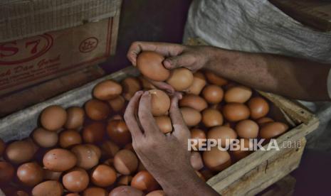 Harga Telur Ayam di Tingkat Peternak Anjlok, Mentan Amran Minta Pembeli Patuhi HAP Rp 26.500 per Kilogram