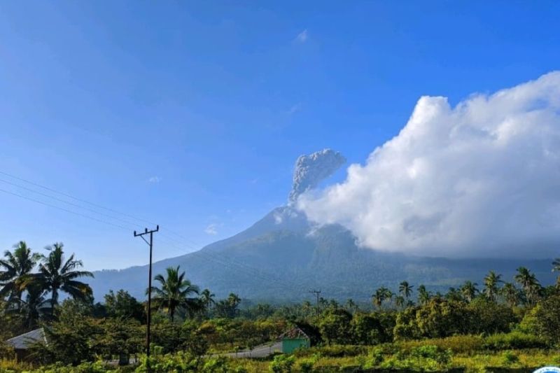 Aktivitas Vulkanik Gunung Lewotobi Laki-Laki Masih Tinggi, Warga Dilarang Masuk Radius 5 Km