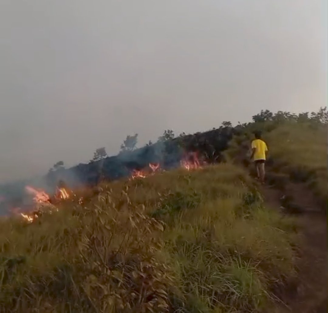 Bukit Sempana Sembalun Terbakar, 25 Pendaki Dievakuasi Malam Hari, Api Masih Berkobar