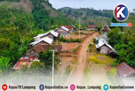 PLN UID Lampung Aliri Listrik 7 Desa, Bangun Jaringan 116 Km untuk 387 Pelanggan Baru